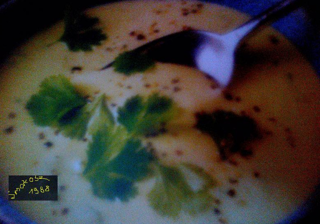 zupa krem z awokado i kokosa foto