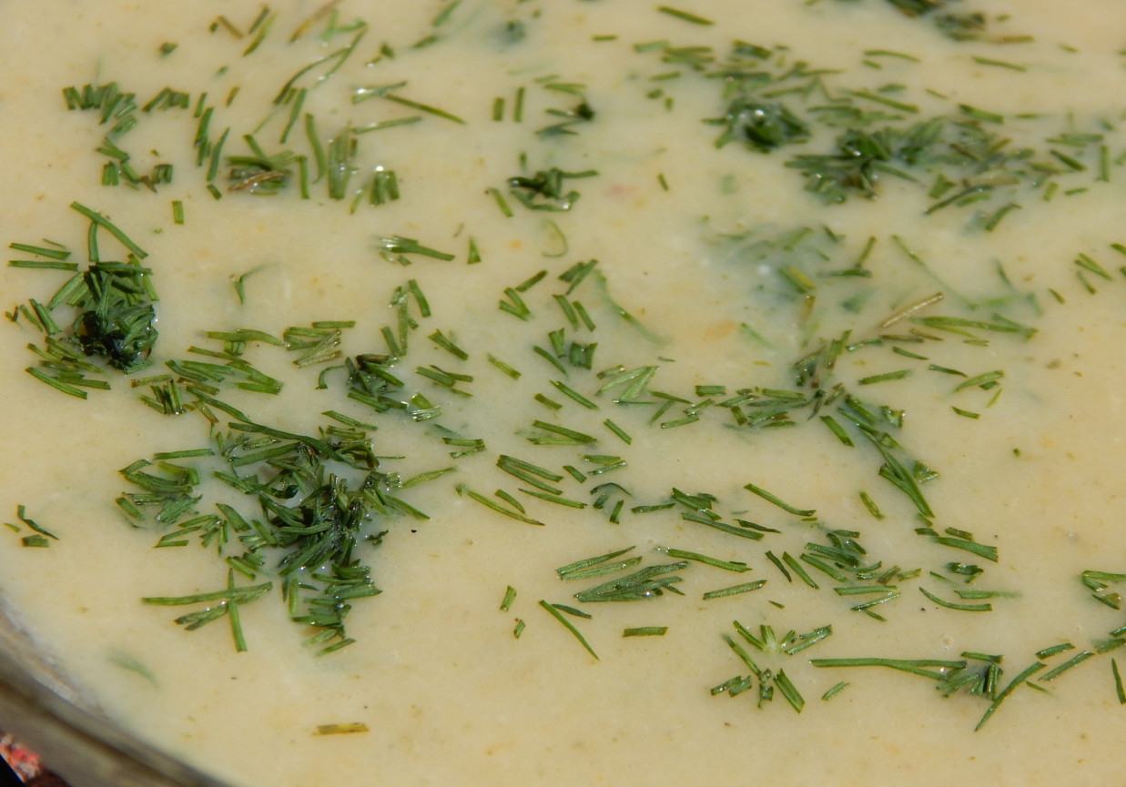 Zupa krem z białych szparagów i pasternaku foto