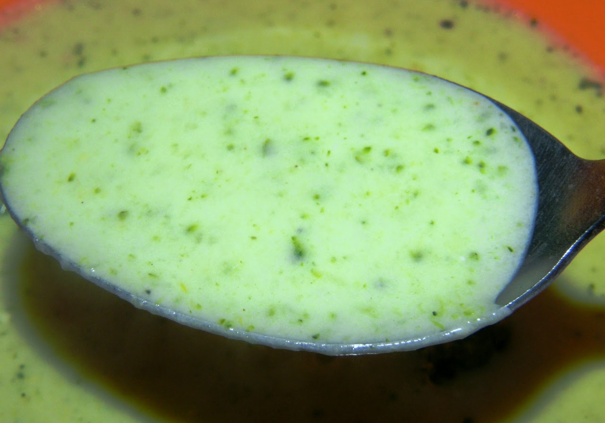 zupa krem z brokuła foto