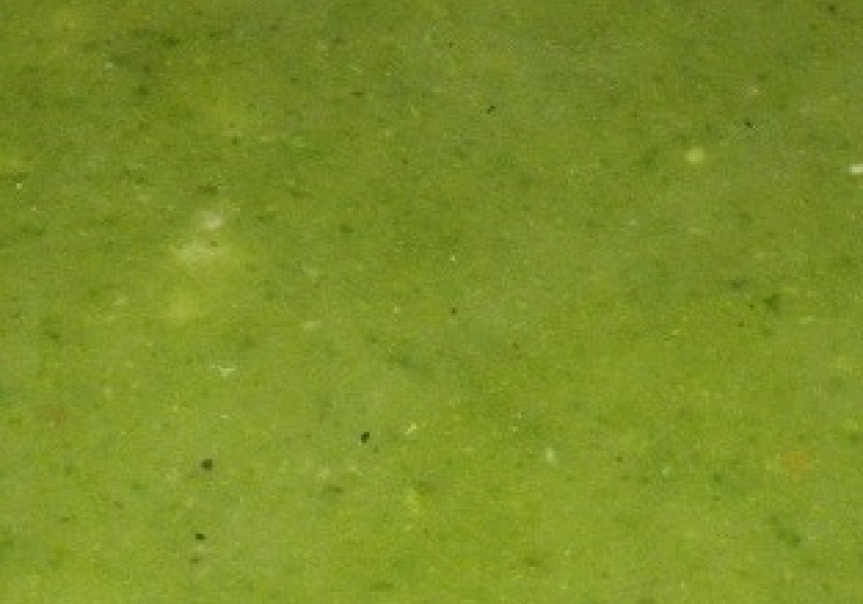 Zupa Krem z Brokuła! foto