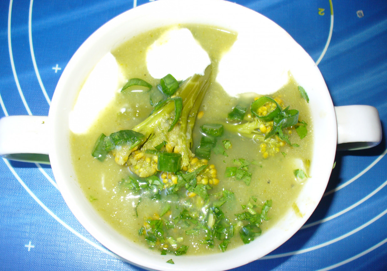 Zupa krem z brokułów     foto