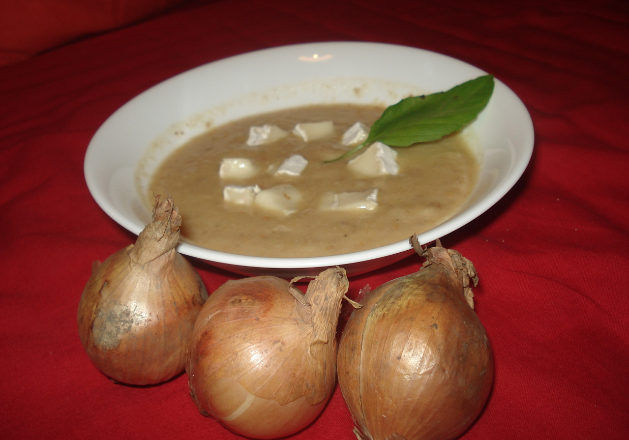 Zupa krem z cebuli zaserwowana z Camembertem foto