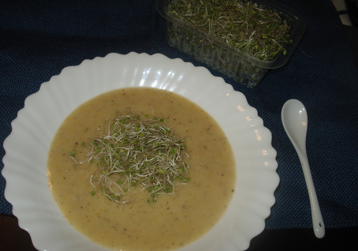 Zupa krem z cukini i kaszy- zaserwowana z kiełkami brokuła foto
