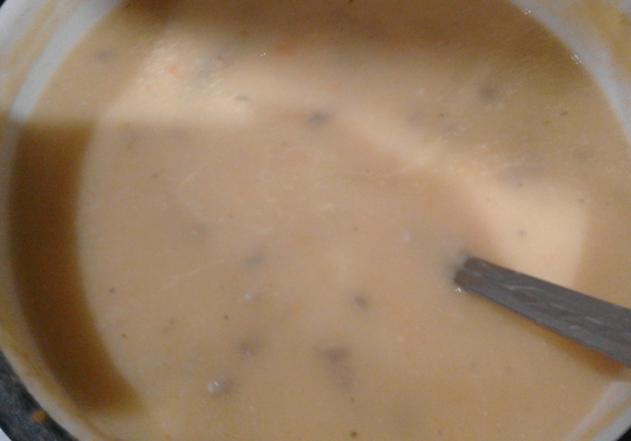 Zupa krem z cukini z grzankami foto