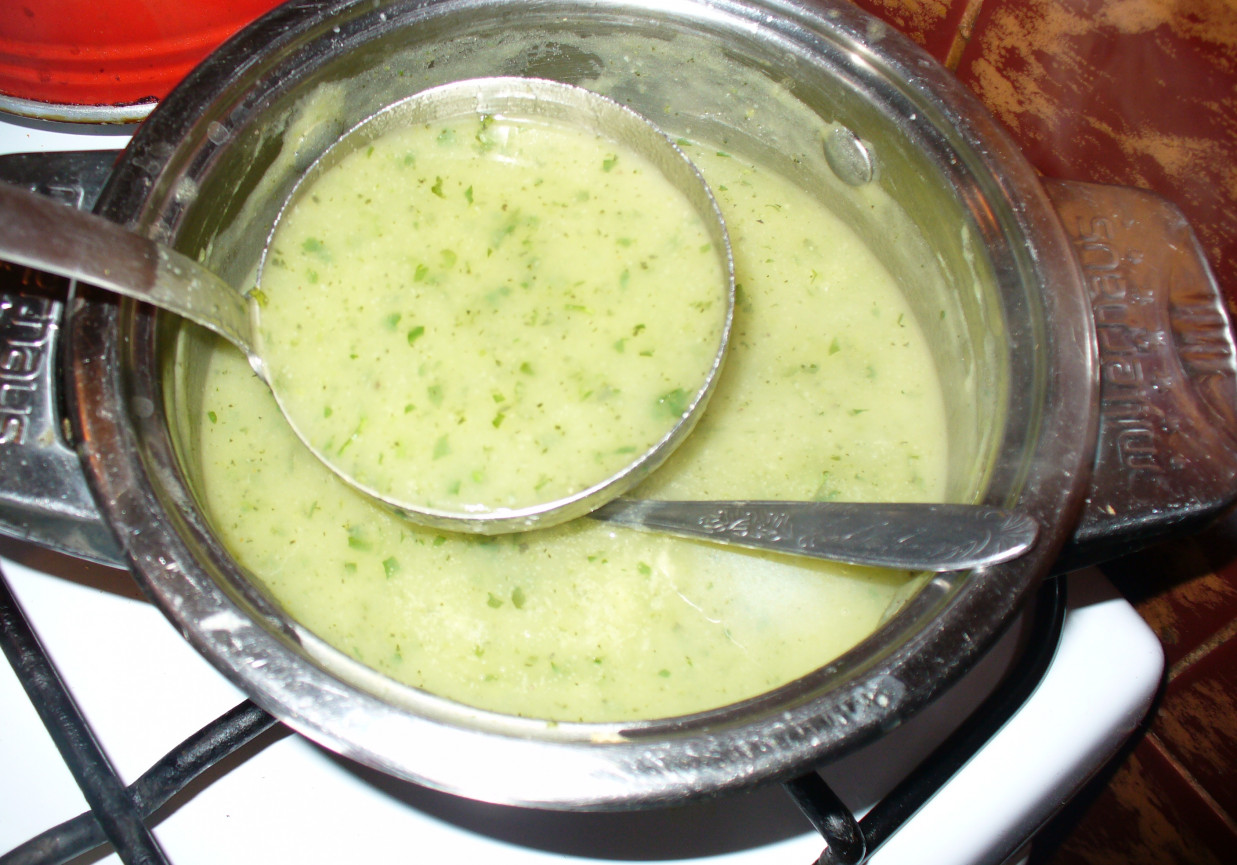 Zupa krem z cukinii. foto