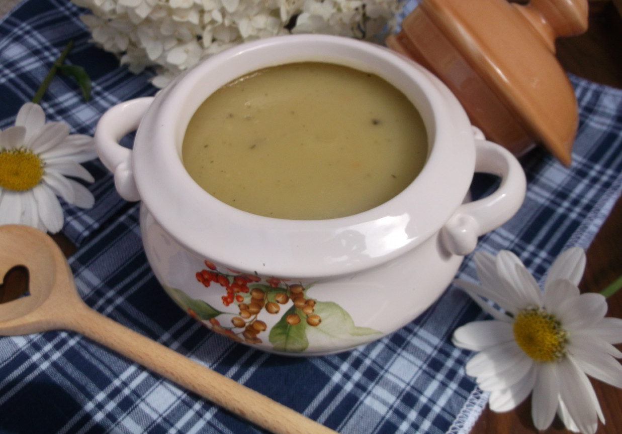 Zupa krem z cukinii. foto