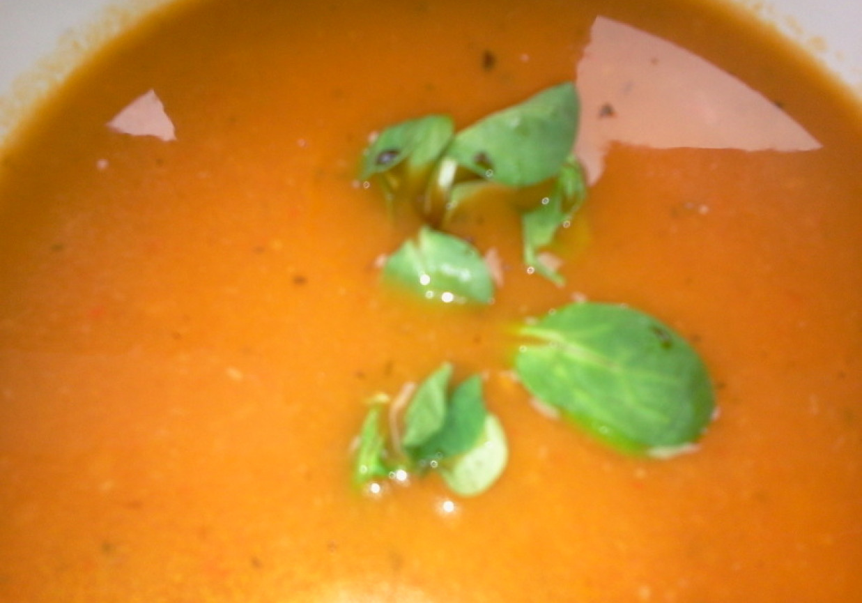 Zupa krem z czerwonych warzyw foto