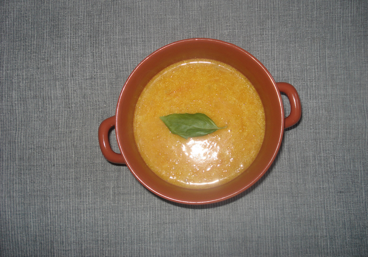 Zupa krem z dyni i zielonej fasolki foto