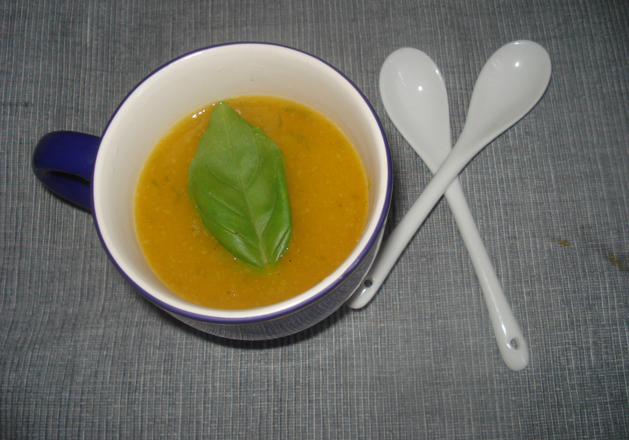 Zupa krem z dyni  foto