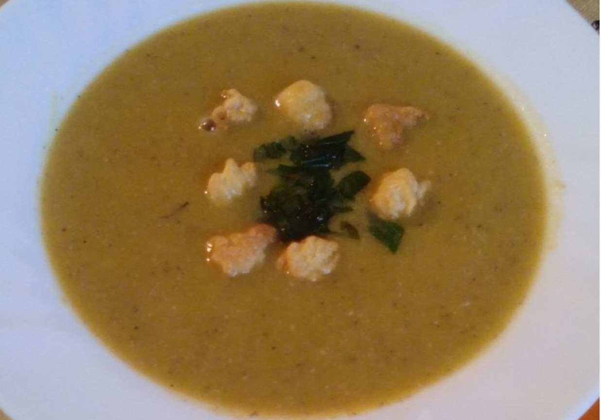 Zupa krem z grzybów leśnych foto