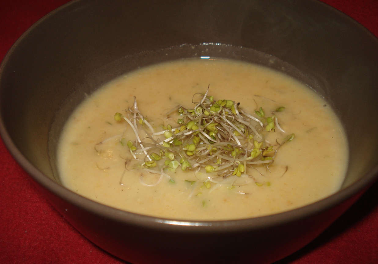 Zupa krem z kukurydzy zaserwowana z kiełkami brokuła :) foto