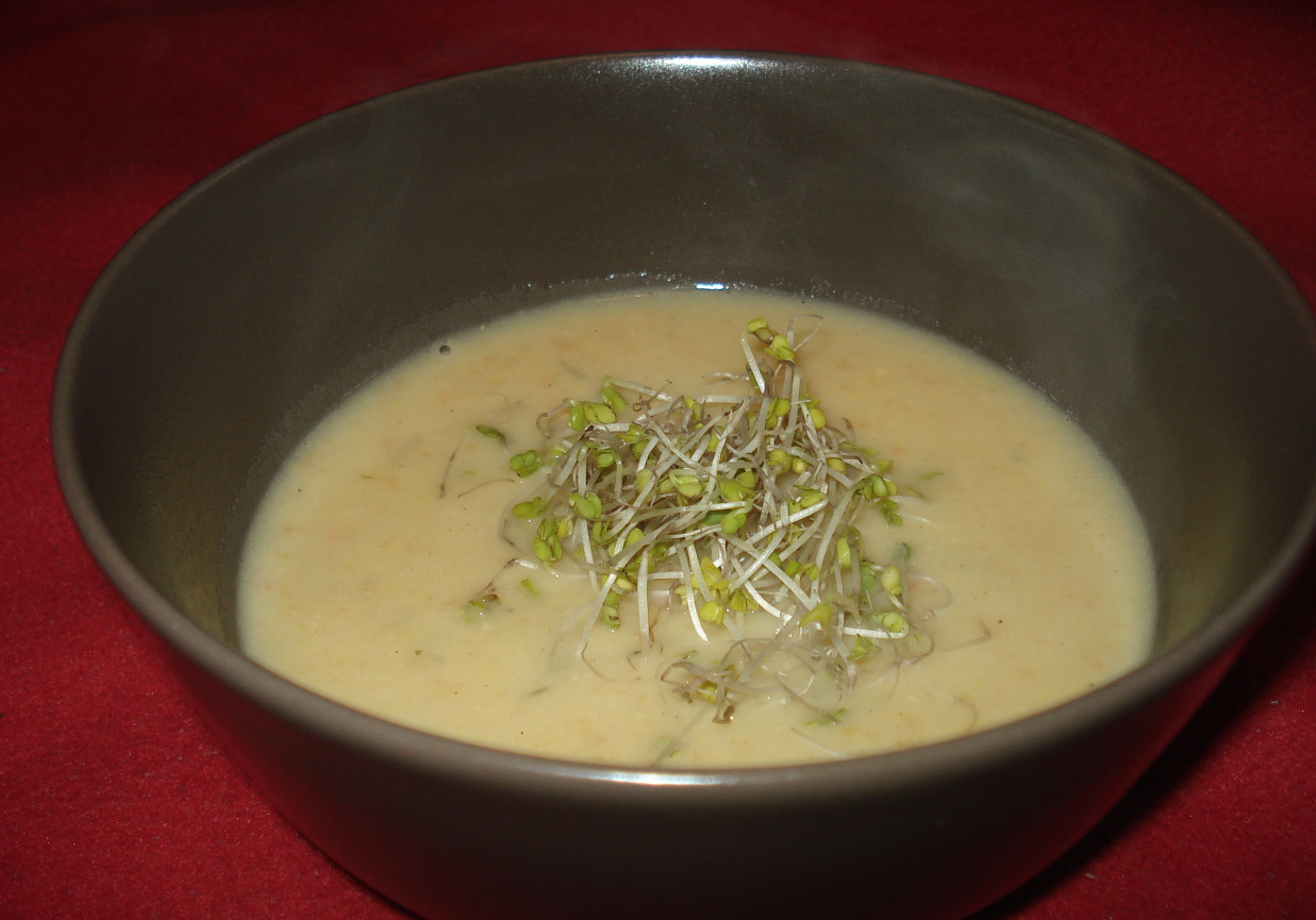 Zupa krem z kukurydzy zaserwowana z kiełkami brokuła :) foto
