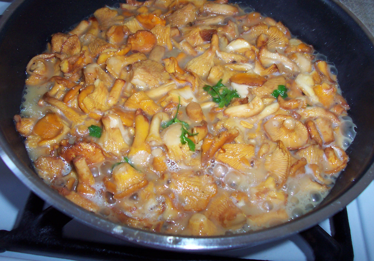 Zupa krem z kurek foto