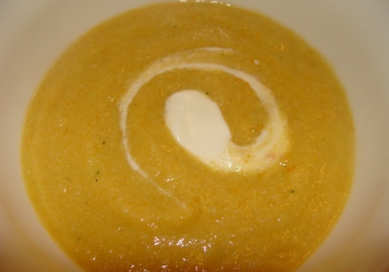 zupa krem z łososiem foto