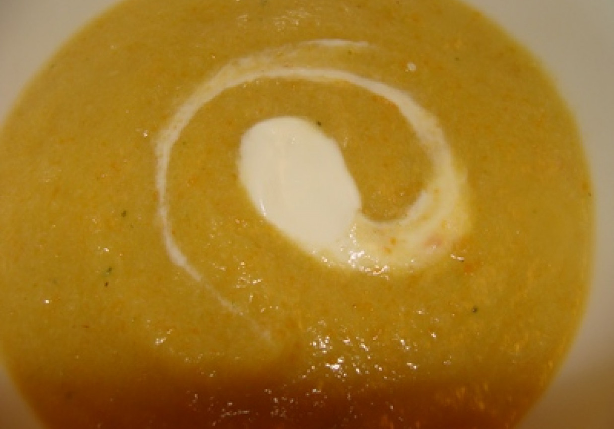 zupa krem z łososiem foto
