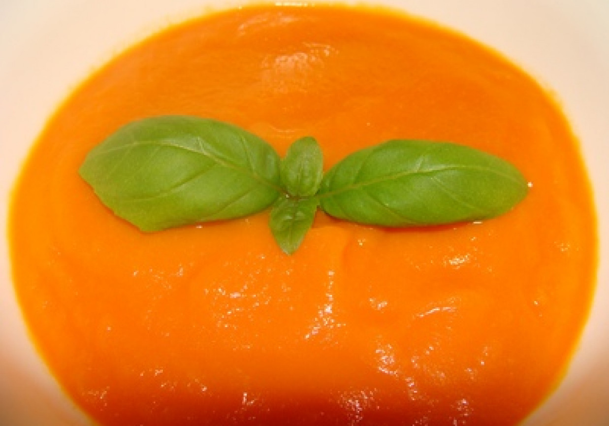 zupa krem z marchewką i chili foto