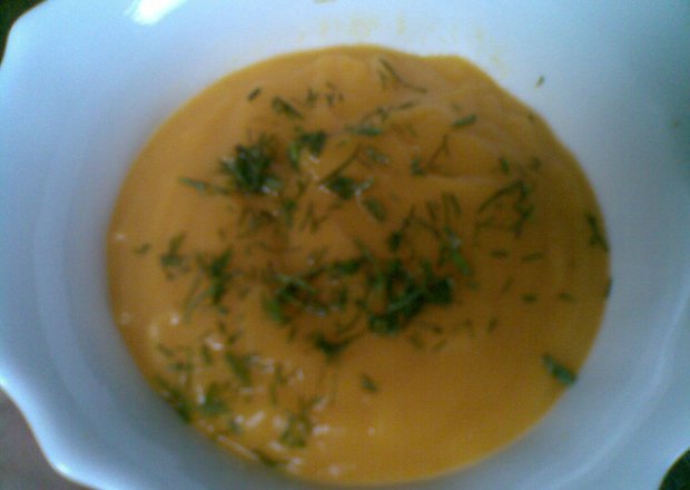 Fotografia przedstawiająca zupa krem z marchewki dla maluszka