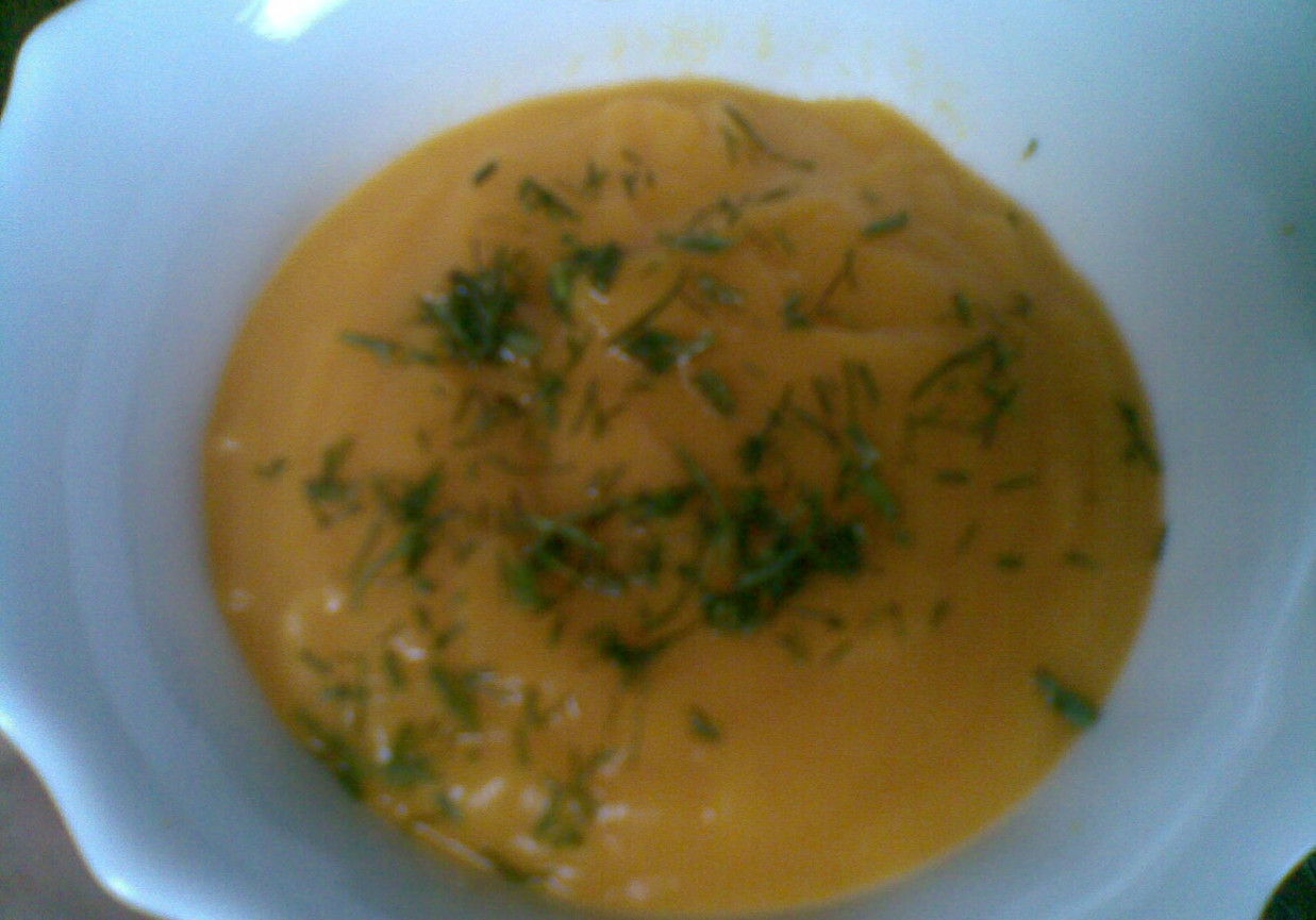 zupa krem z marchewki dla maluszka foto