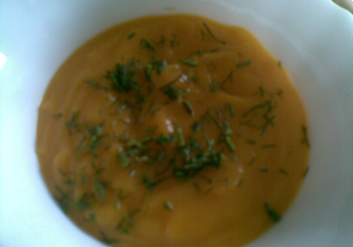 zupa krem z marchewki dla maluszka foto