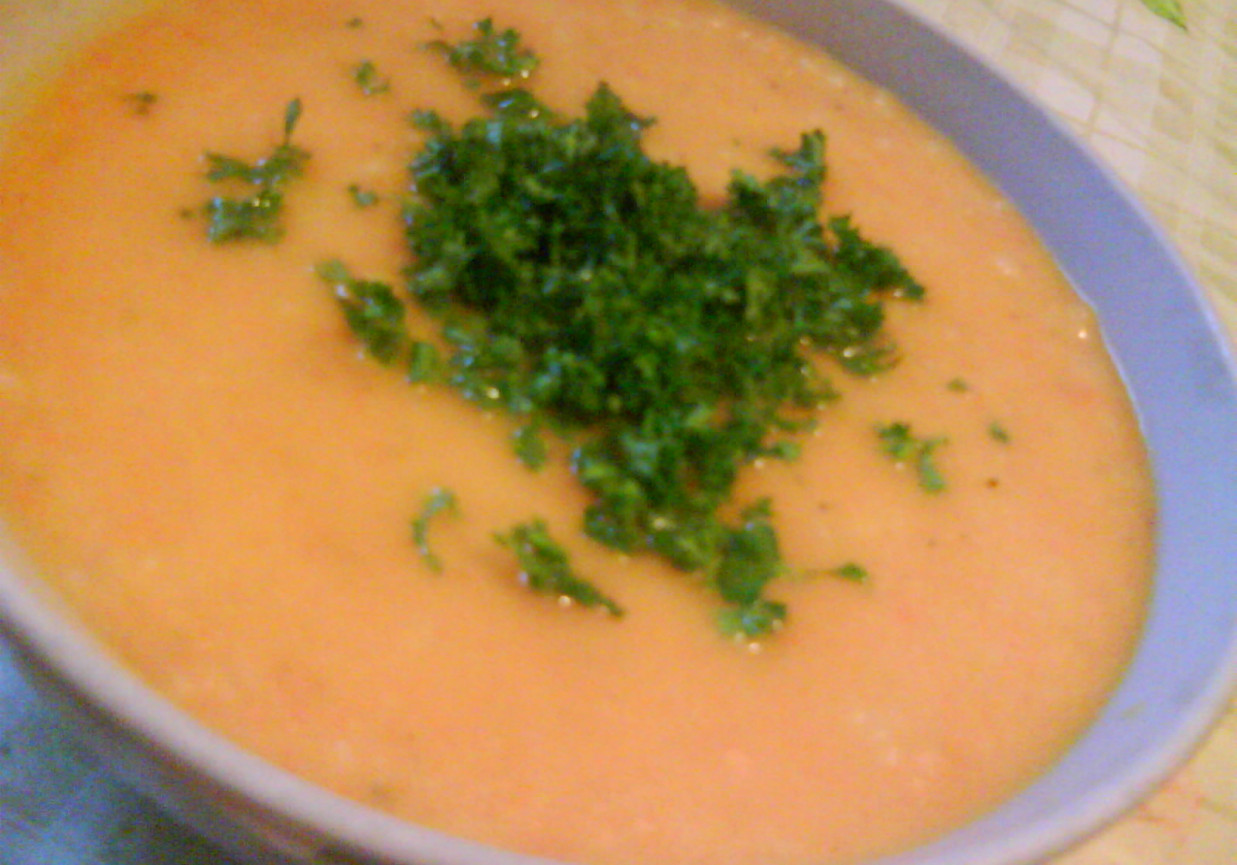 Zupa krem z marchwii foto