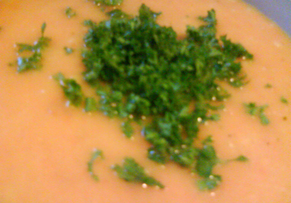 Zupa krem z marchwii foto
