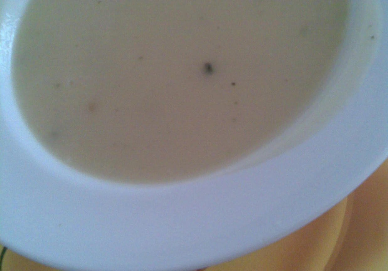 Zupa krem  z pieczarek foto
