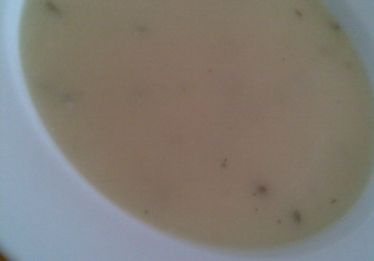 Zupa krem  z pieczarek foto