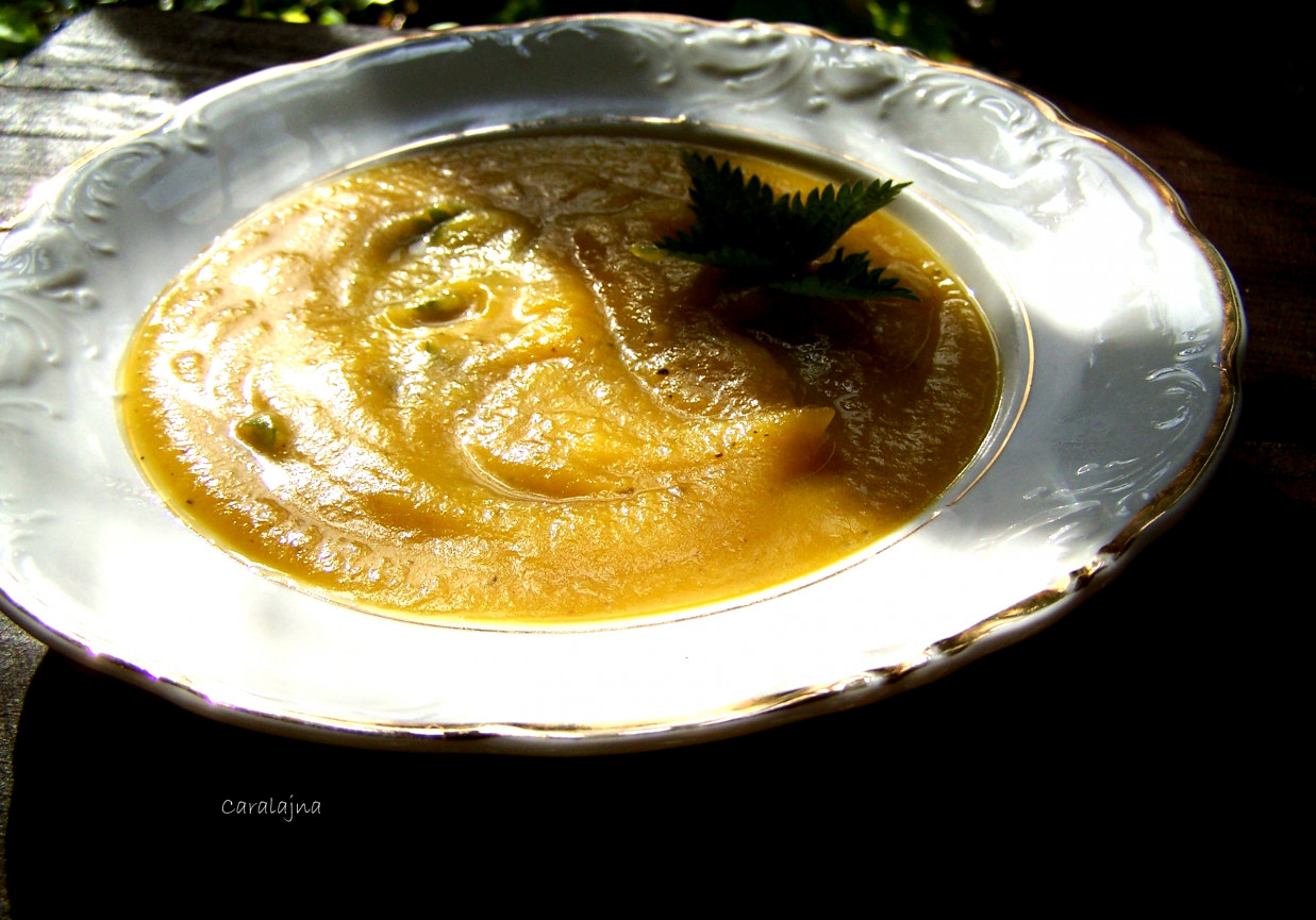 zupa krem z pieczonej dyni z pokrzywą foto