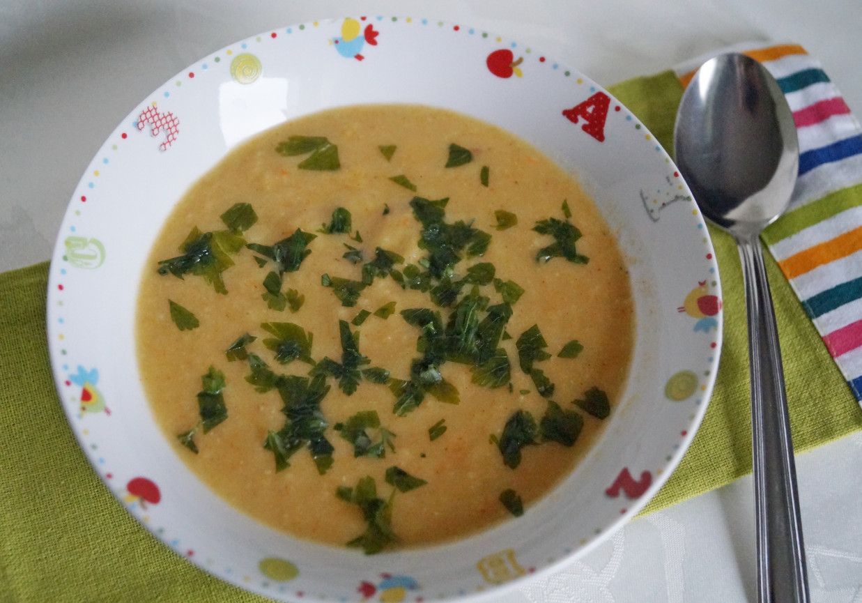 Zupa krem z pora i jaglanki foto
