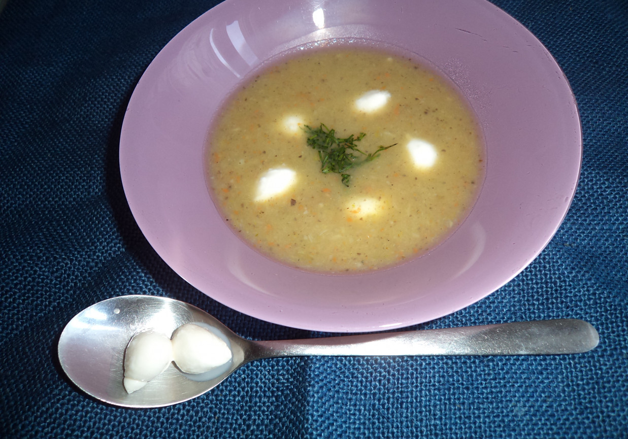 Zupa krem z pora i pieczarek- zaserwowana z mini Mozzarelą :) foto