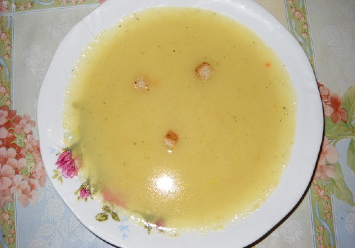 zupa krem z pora foto