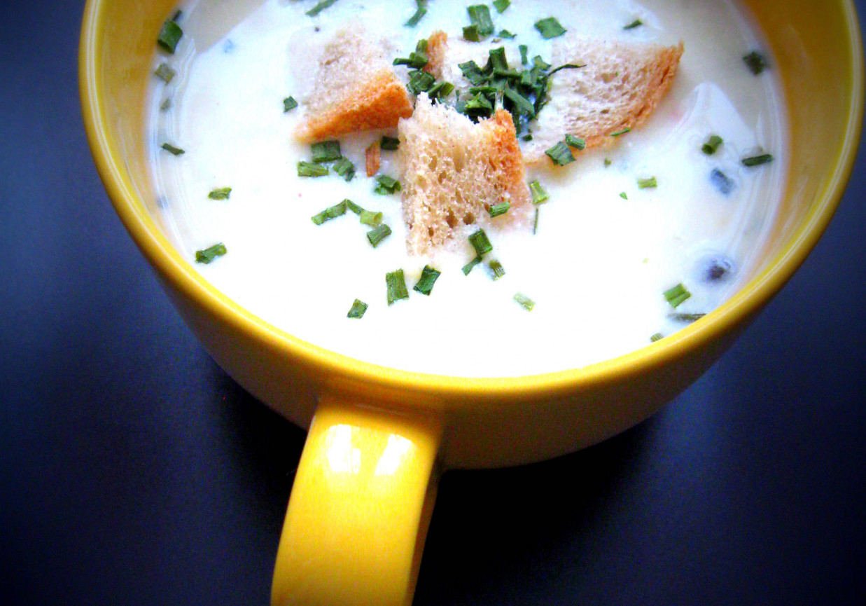 Zupa - krem z serkami topionymi, szczypiorkiem i porem foto