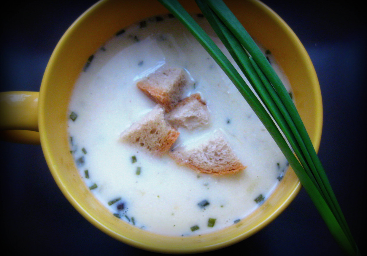 Zupa - krem z serkami topionymi, szczypiorkiem i porem foto