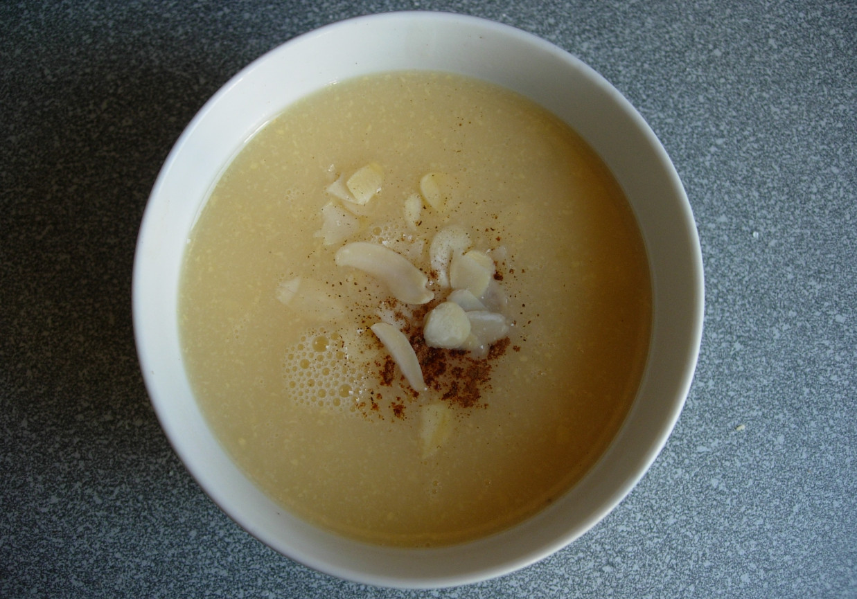 Zupa - krem z wina foto