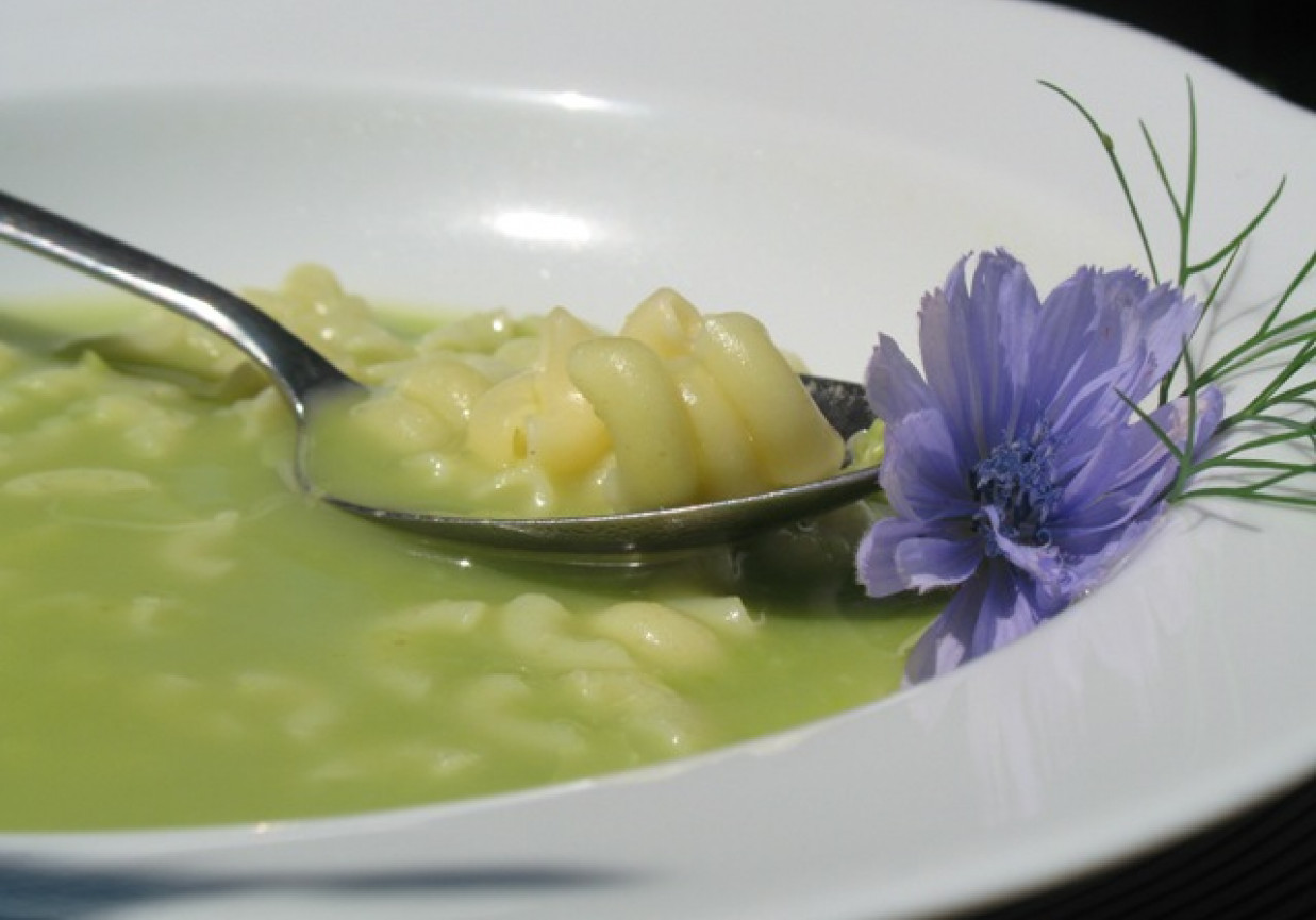 Zupa - krem z zielonego groszku foto
