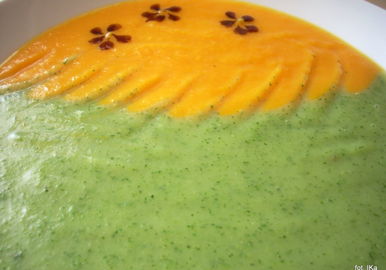 Zupa kremowa kolorowa foto