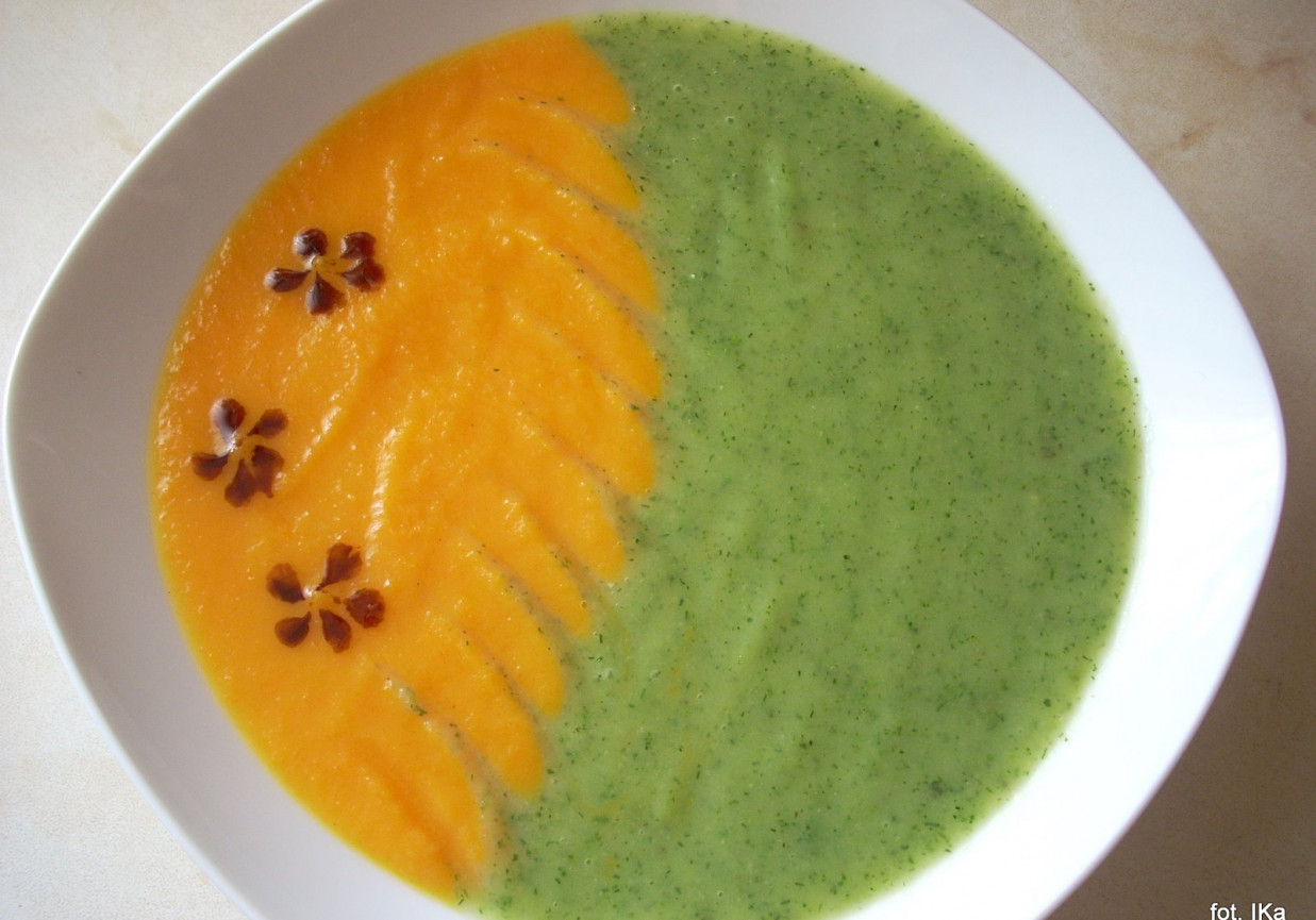 Zupa kremowa kolorowa foto