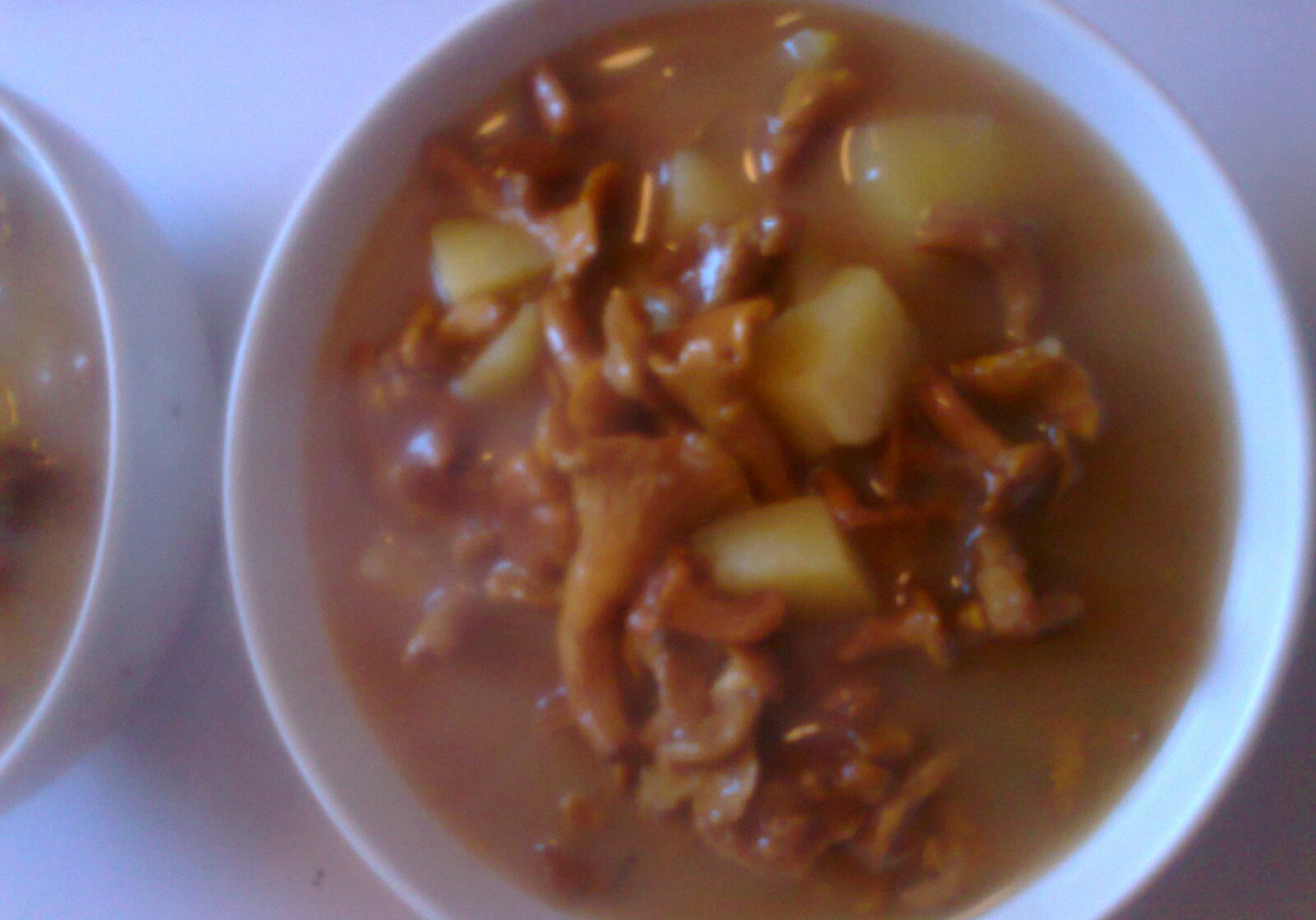 zupa kurkowa z kartoflami foto