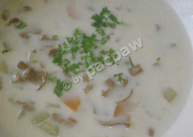 Fotografia przedstawiająca Zupa kurkowa