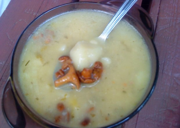 Fotografia przedstawiająca Zupa kurkowa