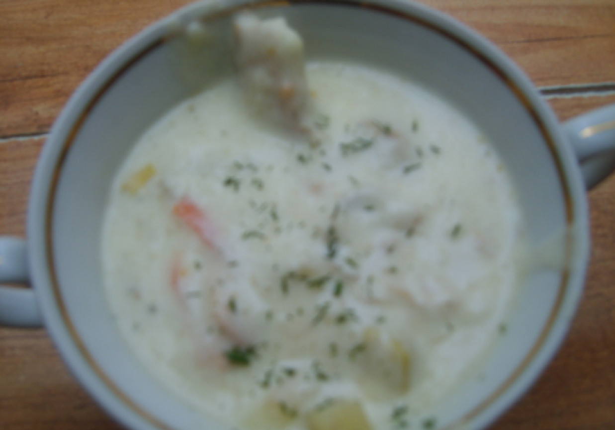 Zupa łososiowa foto