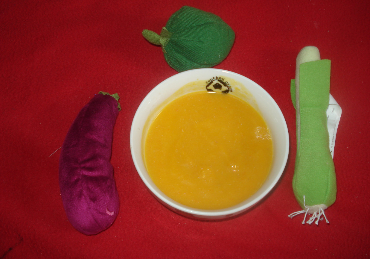 Zupa malucha- z dynią i marchewką na wywarze z indyka foto
