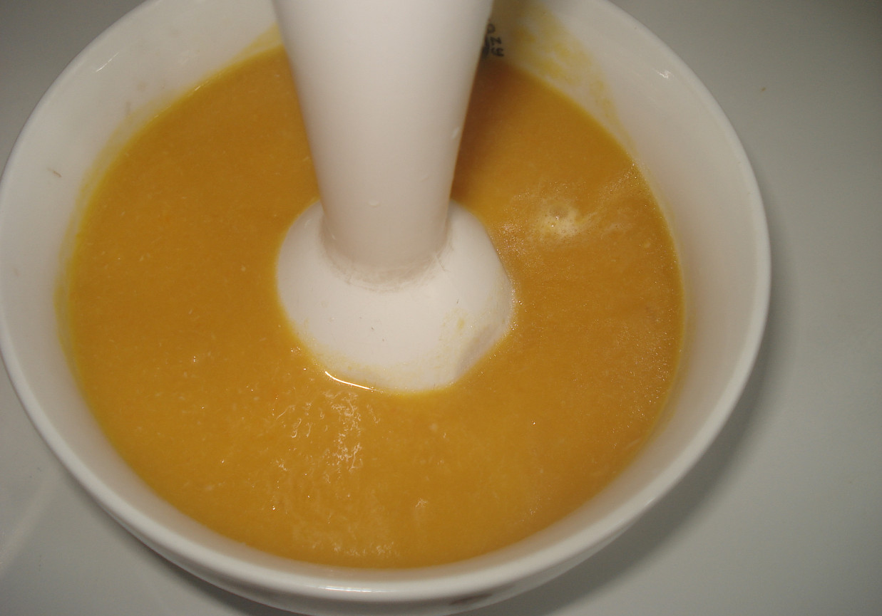 Zupa malucha- z dynią i marchewką na wywarze z indyka foto