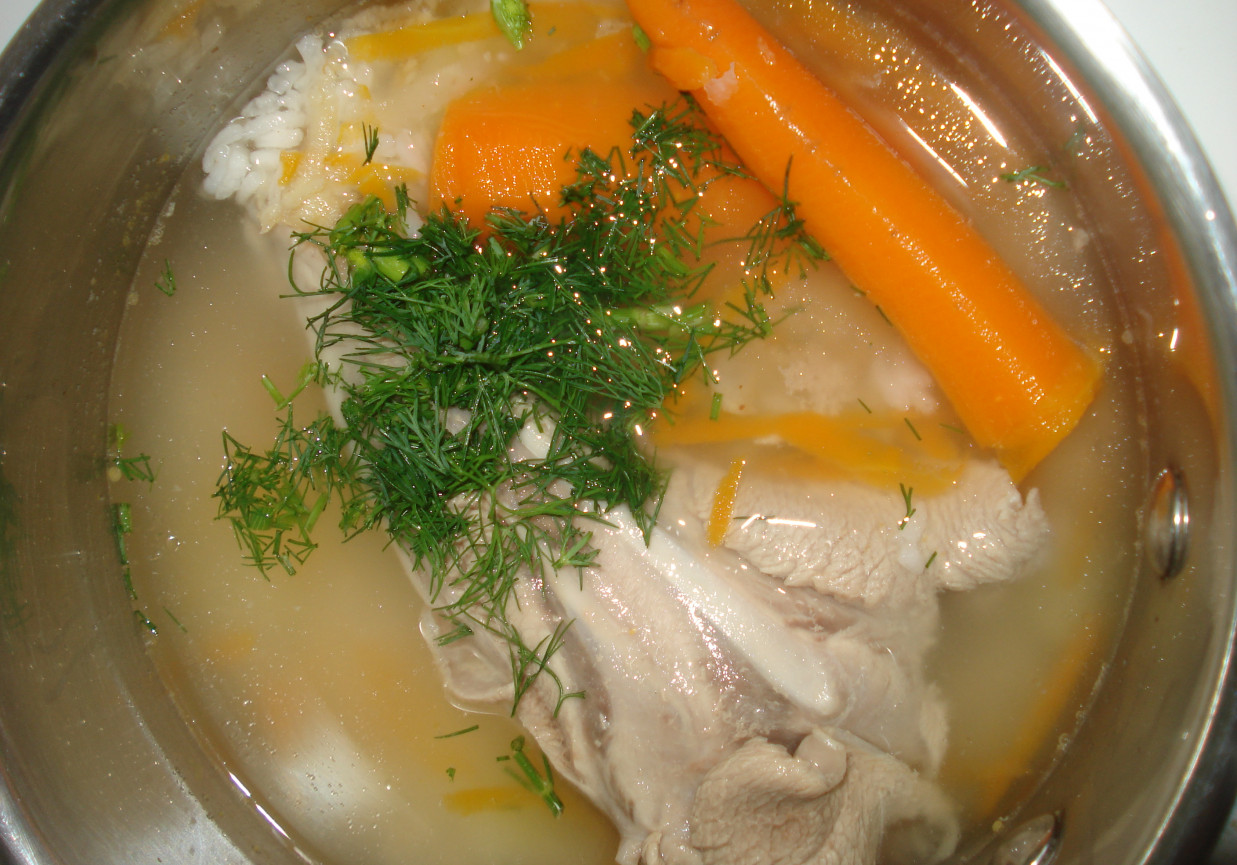 Zupa malucha- z indykiem, ryzem, marchewką i koperkirm foto