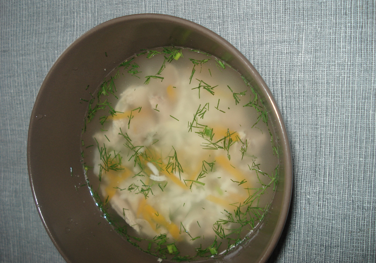 Zupa malucha- z indykiem, ryzem, marchewką i koperkirm foto