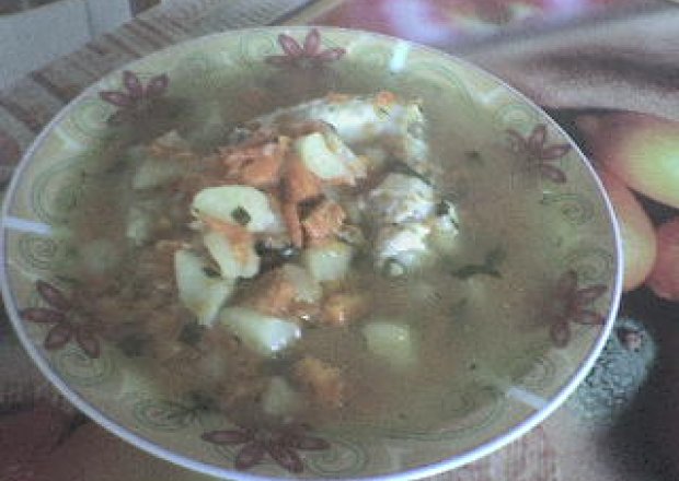 Fotografia przedstawiająca zupa marchewkowa na skrzydełkach