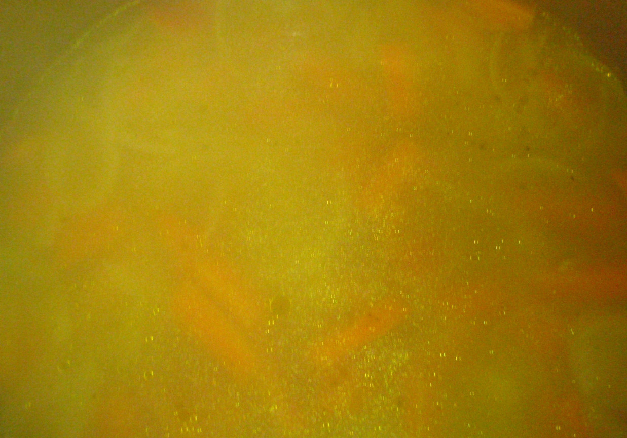 Zupa marchewkowo-cebulowa foto