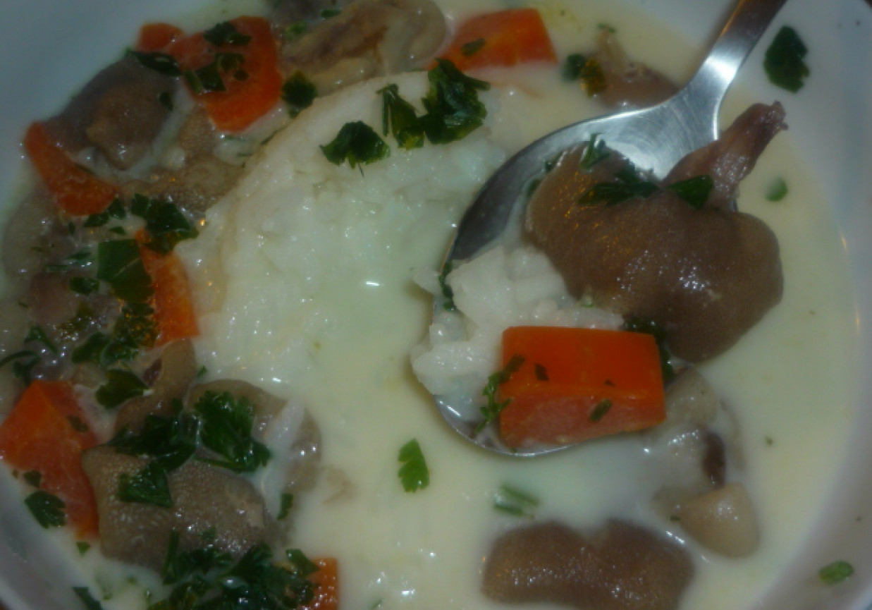 zupa maślakowa na gęsi z ryżem foto