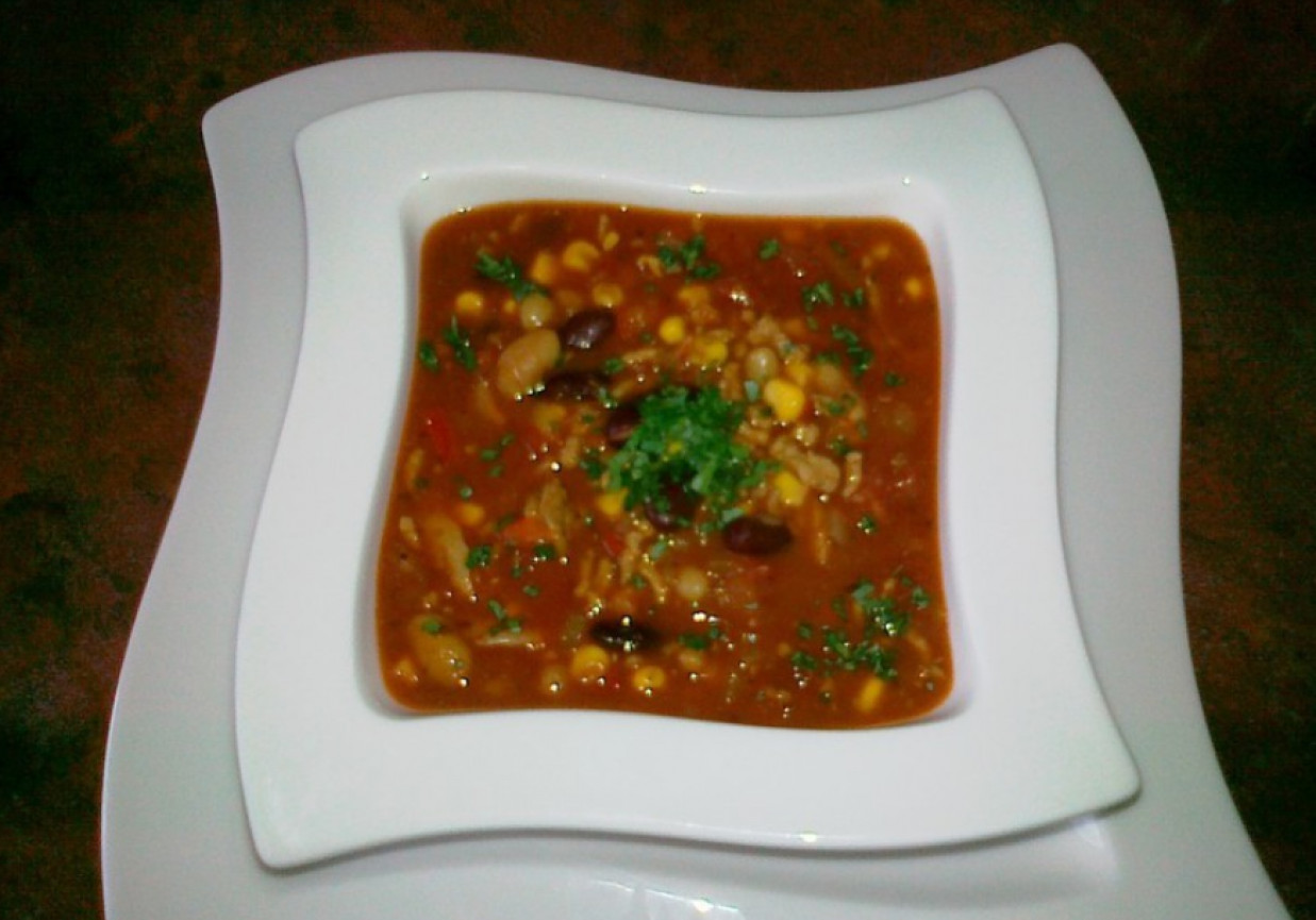 Zupa meksykańska z mięsem mielonym foto