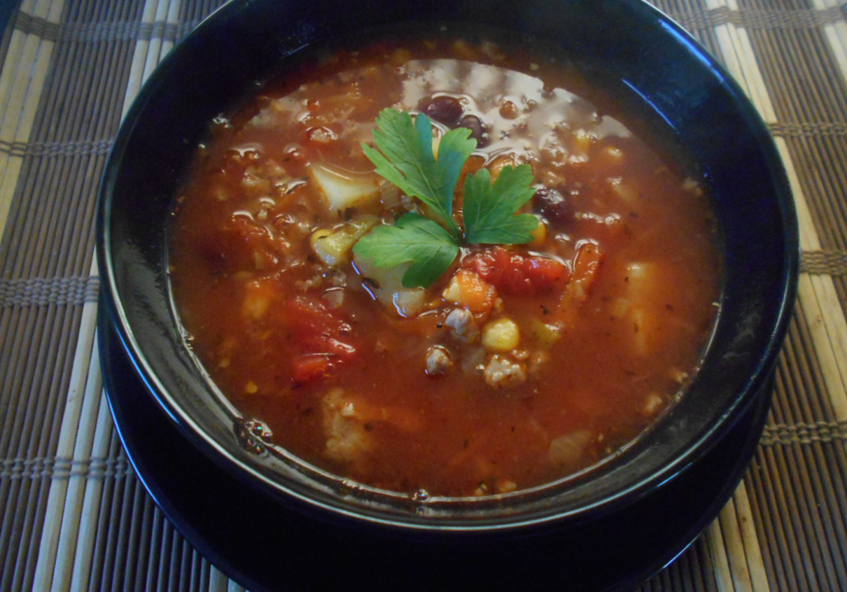 Zupa meksykańska z ziemniakami i włoszczyzną foto